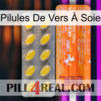 Pilules De Vers À Soie new05